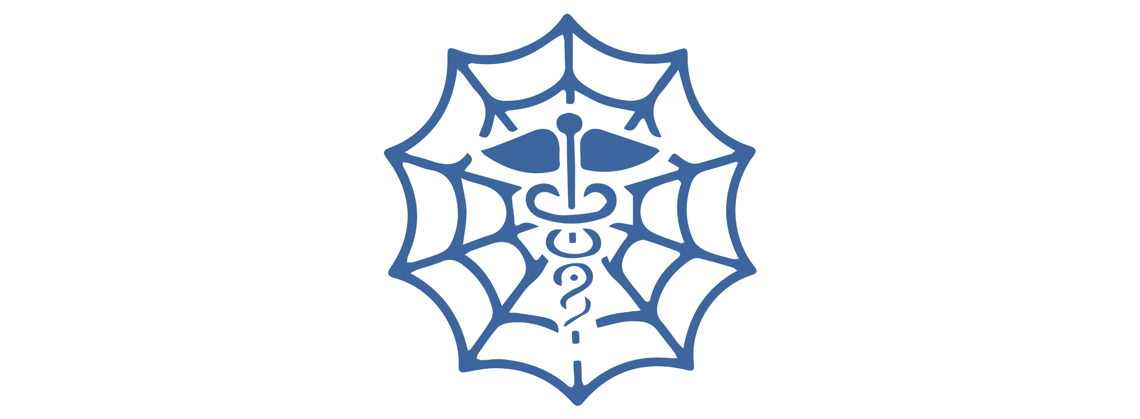 ANANSE Logo